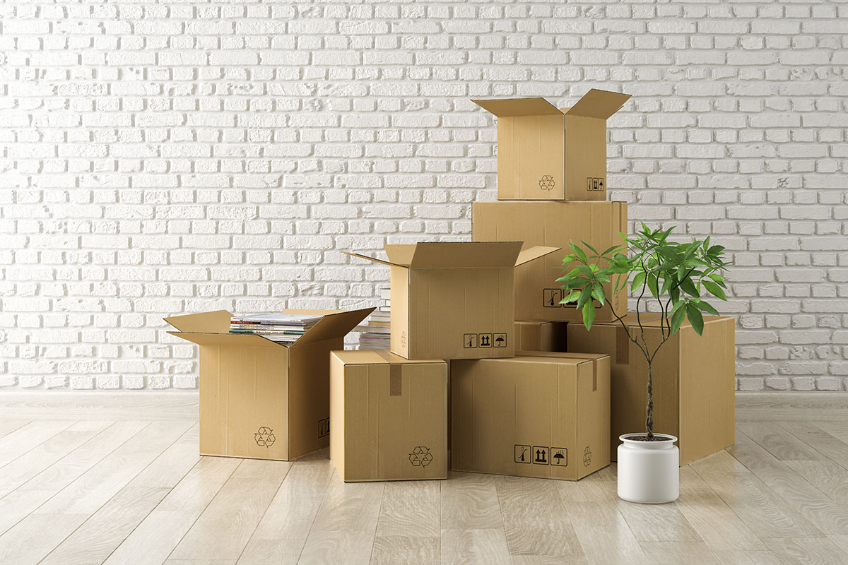 Expulsion locative et relogement