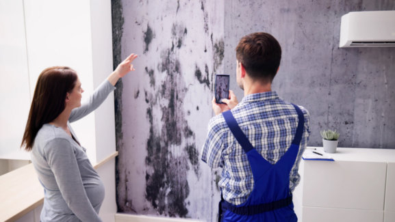 Assurance dégâts des eaux