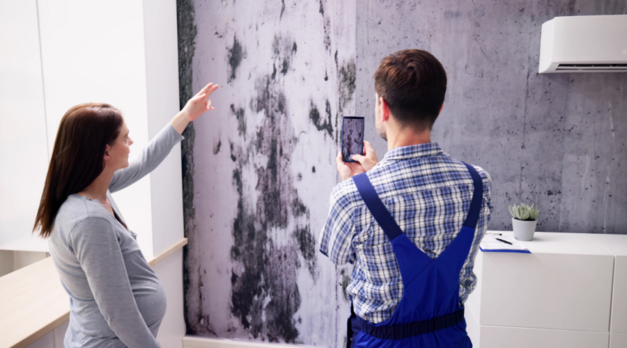 Assurance dégâts des eaux