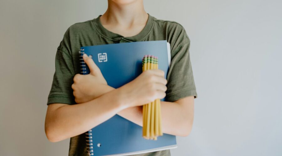 Allocation de rentrée scolaire en France